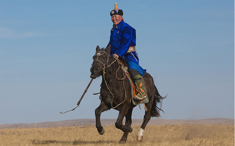 local horse festivals mongolia 
